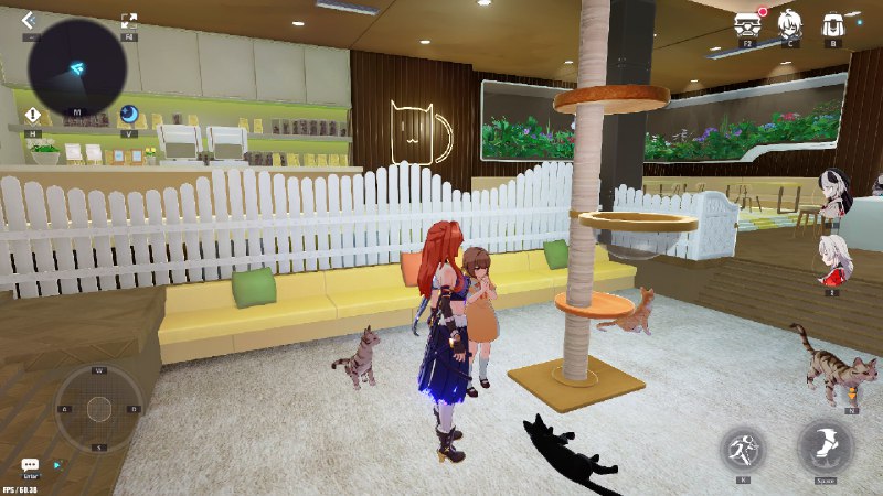 [HI3 - 7.3 BETA]Cats.